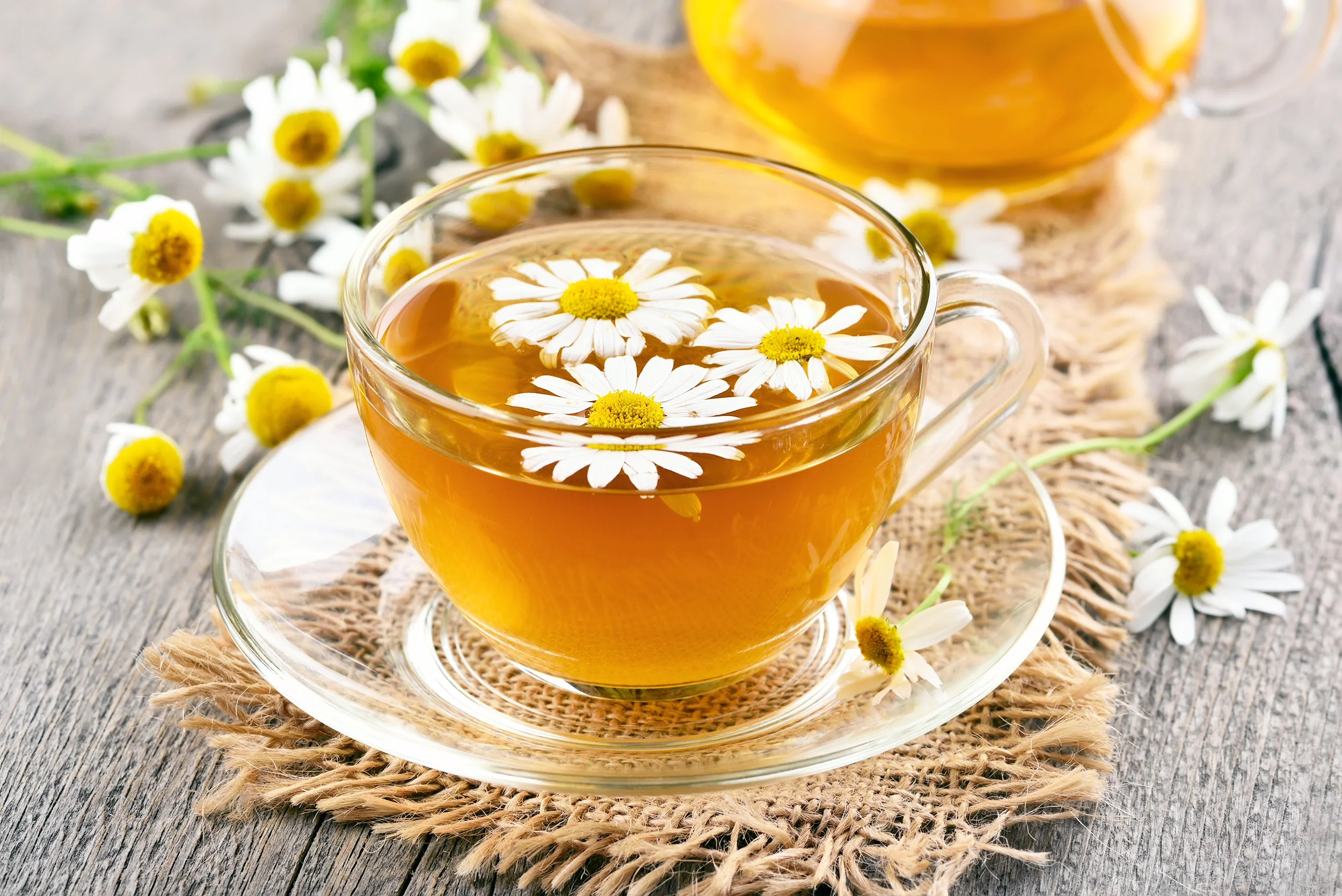 chamomile